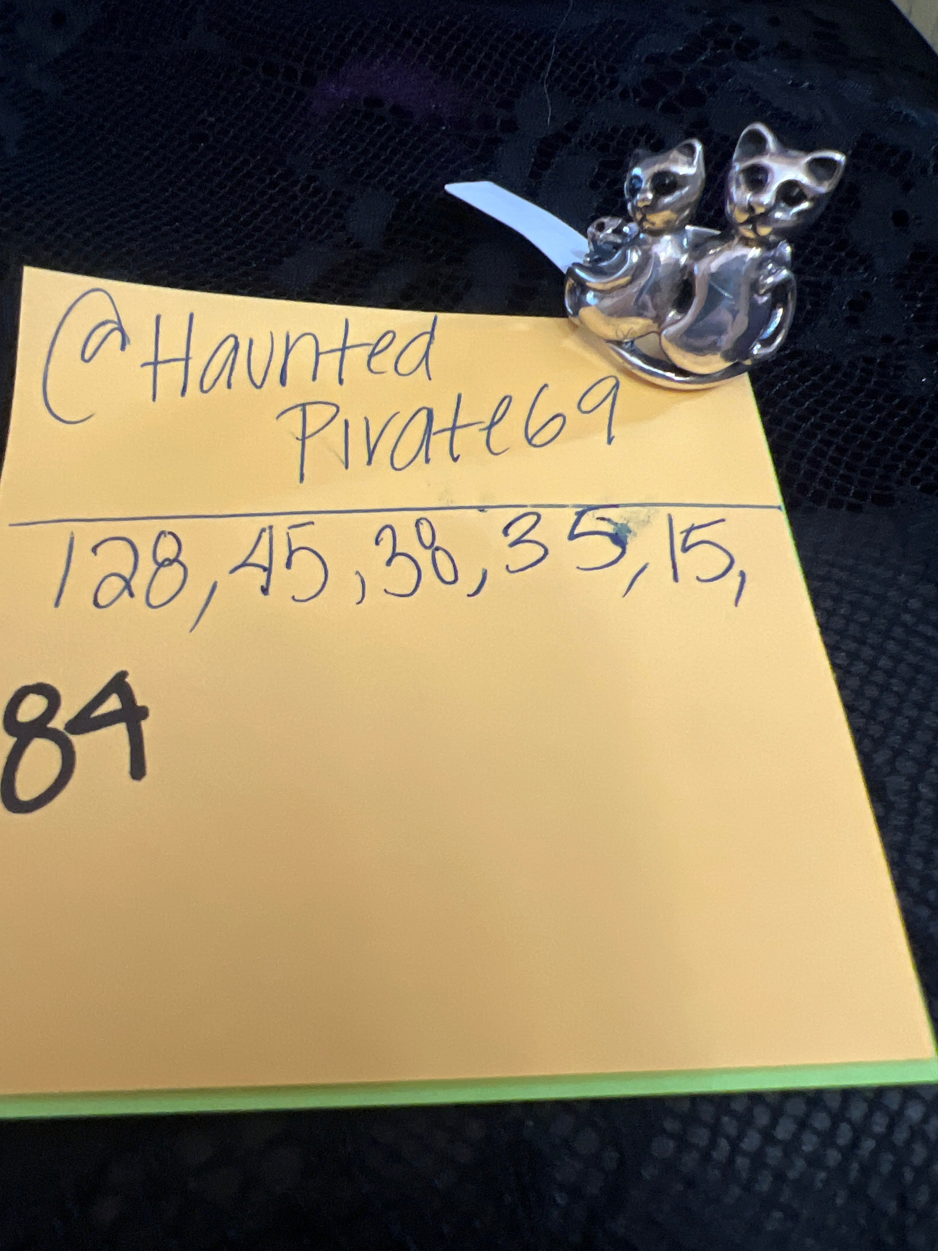 @HauntedPirate69