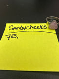 @Sandycheeks