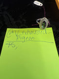 @ V_exhausted_pigeon